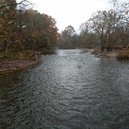 The Lamington River at Burnt Mills Preserve where RHA and partners removed a dam and restored the river to its original channel in 2019.